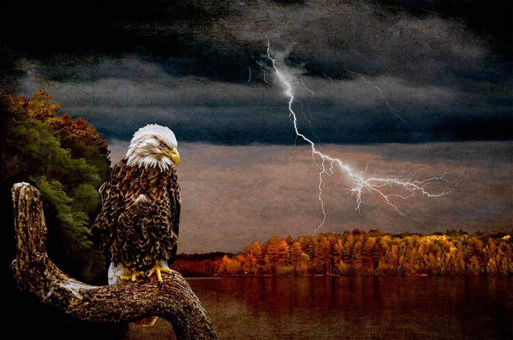 Eagle