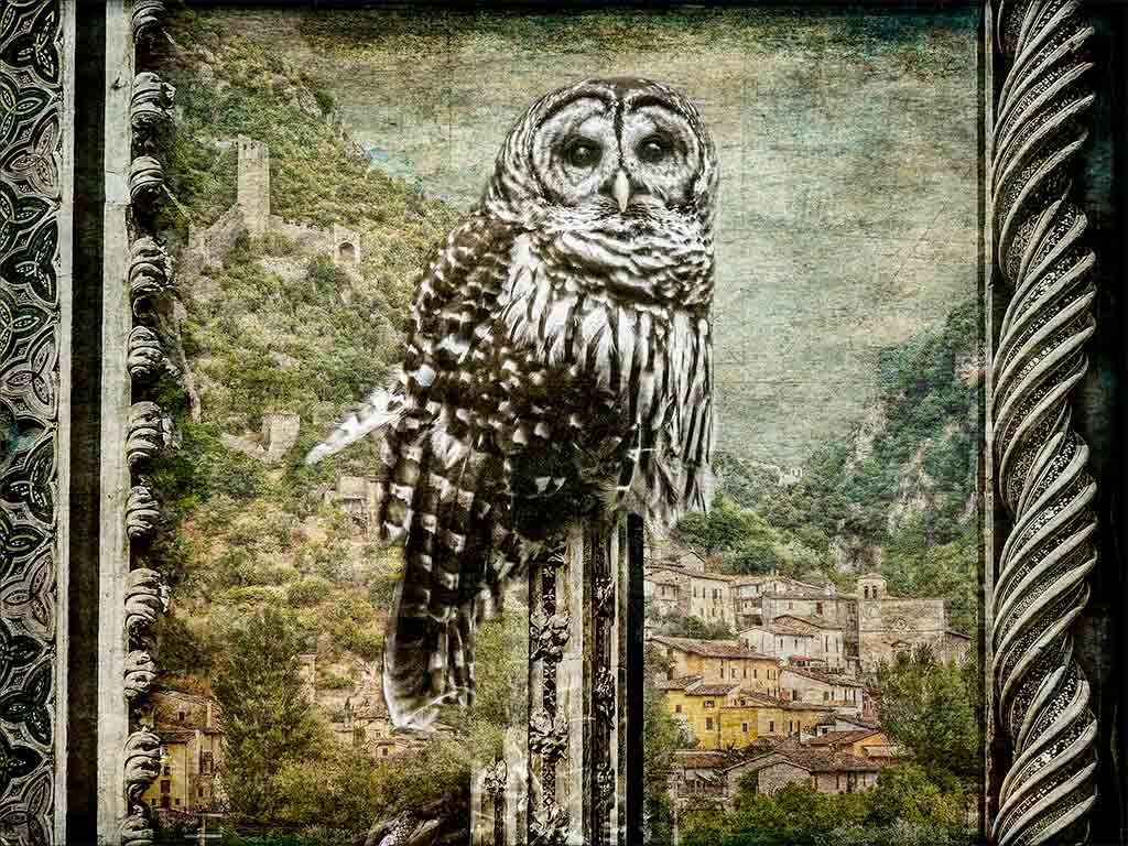 Owl-at-Ferentillo